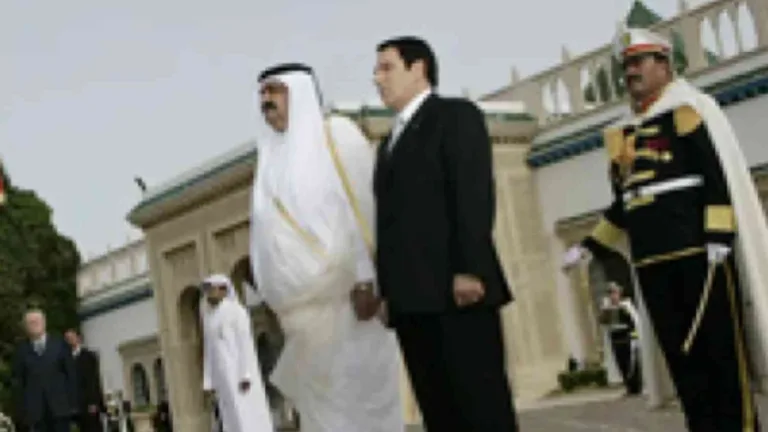 أمير قطر ورئيس تونس يبحثان تنمية الشراكة بين البلدين